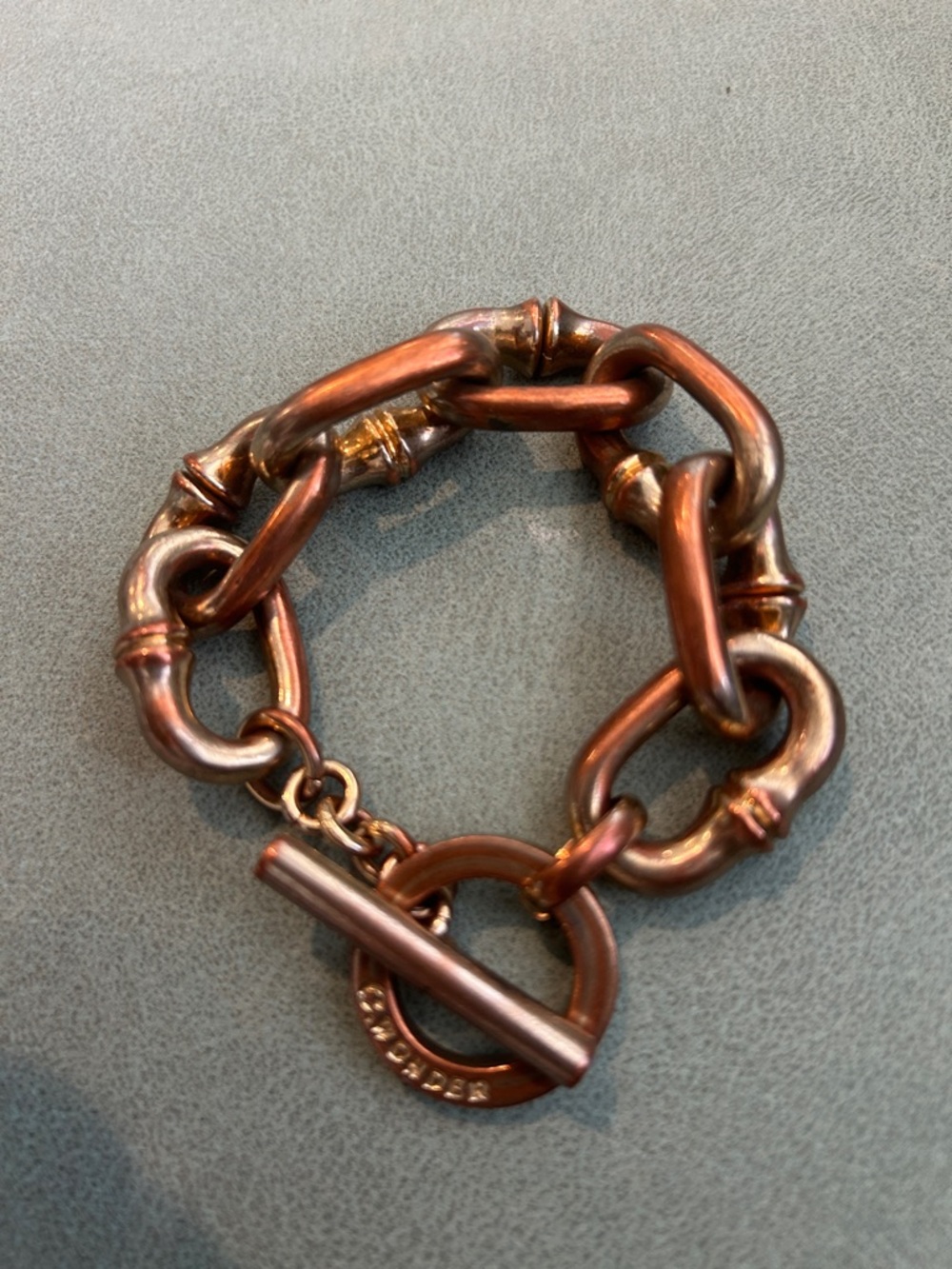 C. Wonder Small Chunky Link Toggle Bracelet